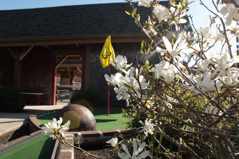 Now Open Friday’s, Saturday’s, Sunday’s and Monday’s